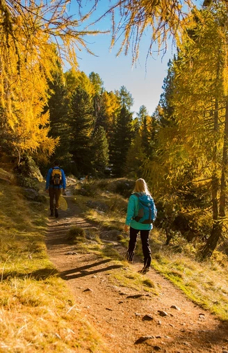Rundwanderung von der Riederalp via Grünsee, Silbersand und zurück