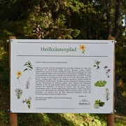 Themenrundweg Heilkräuterpfad