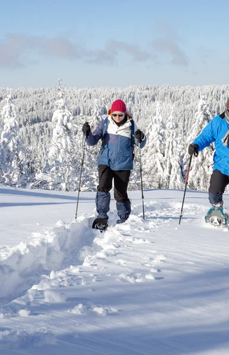 Schneeschuhtour Bad Peterstal-Griesbach