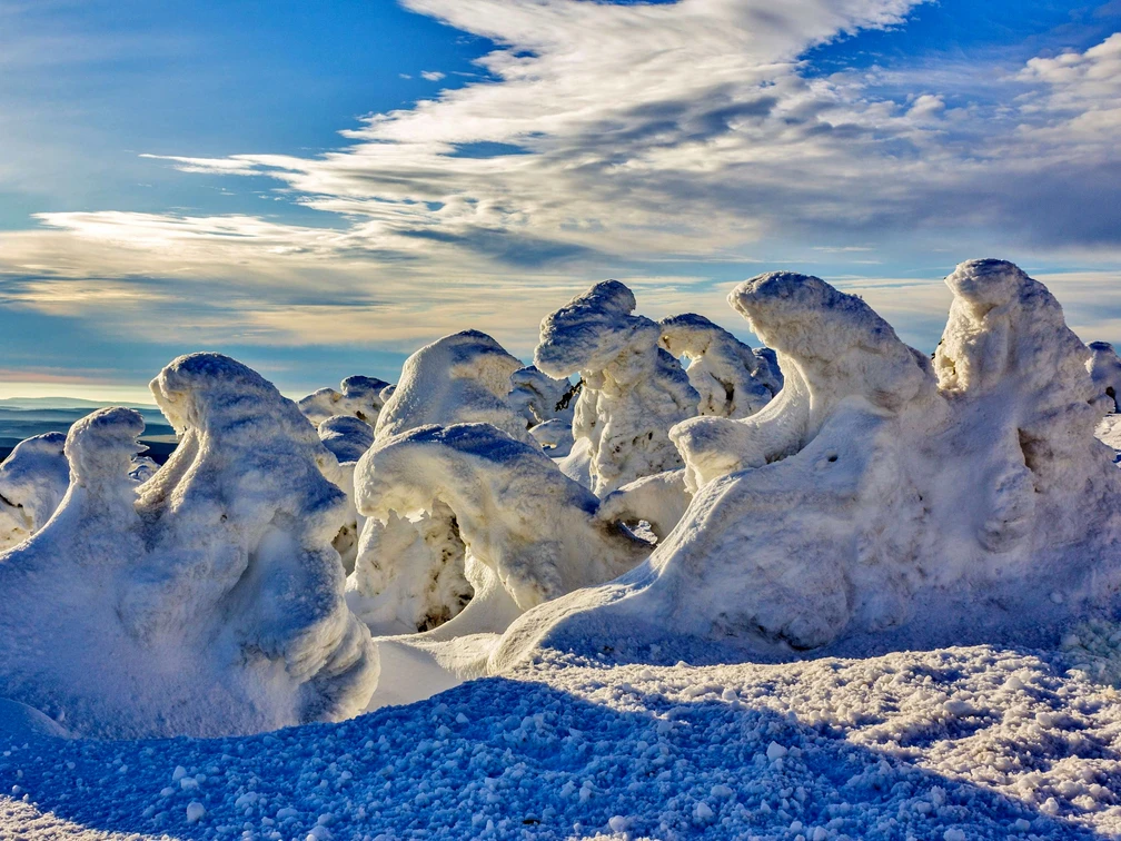 NationalparkHarz_Brocken_Winter