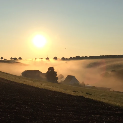 Sonnenaufgang in Weiberg Sonnenaufgang in Weiberg