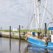 Kutterhafen in Wremen, Kleiner Preuße