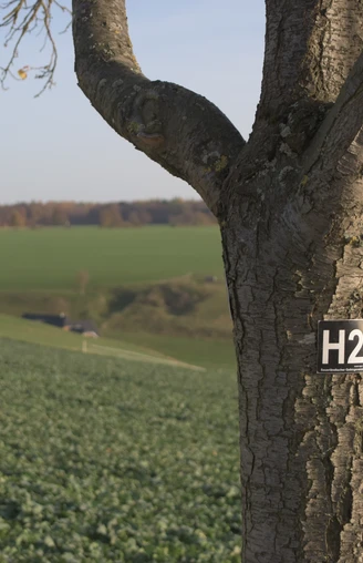 Wanderwegezeichen H2 Wanderwegezeichen H2