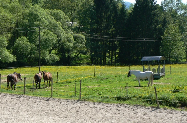 Reiterhof Laufbachtal