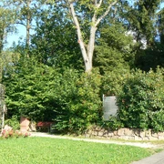 Blick auf den Startpunkt des Keltischen Baumpfads, eingewachsene Bank in mitten vieler Sträucher mit Info-Tafel.