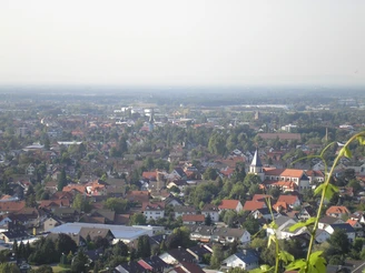 Blick vom Bienenbuckel auf Oberachern