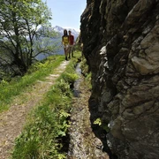 Mund Suonenwanderung