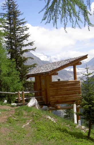 Wildbeobachtungsposten