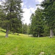 Horumattewald