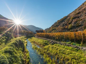 Sonne über Brigerbad