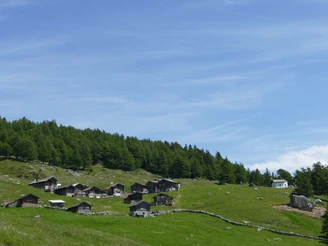 Salwald-Brischeru