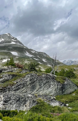 Blick hoch zum Gärsthorn