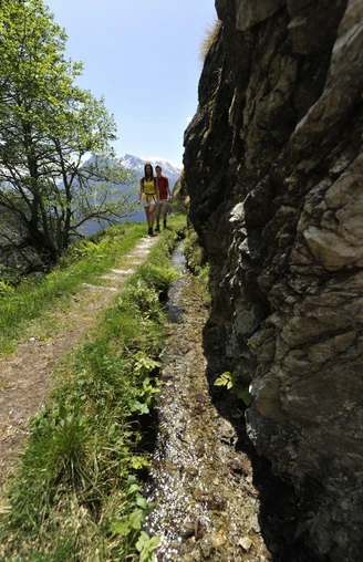 Mund Suonenwanderung