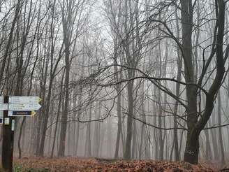 Qualitätstour Archotrail (Bo 4)