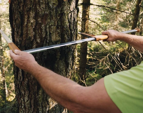 Entlebucher Wald-Holz