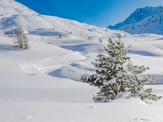 Winterwandern Simplon