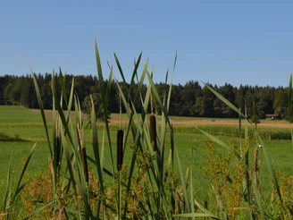 Lehrpfad Lindenberg_Landschaft.JPG