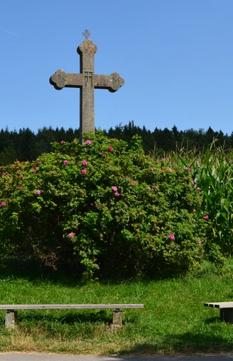 Lehrpfad Lindenberg_Sulzer Kreuz.JPG