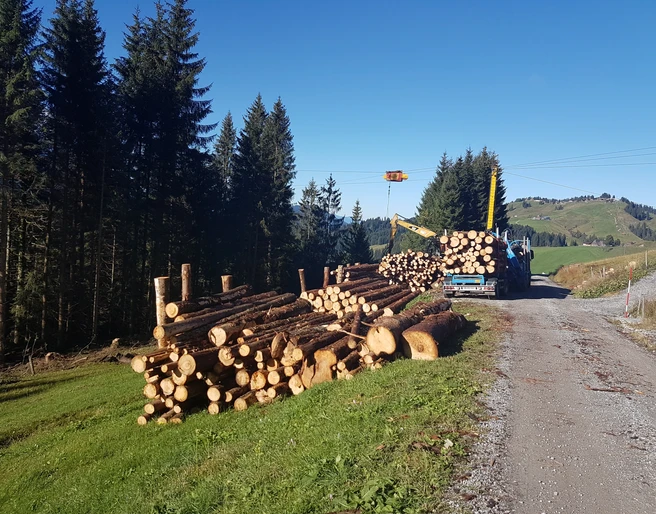 Waldgenossenschaft oberes Entlebuch