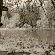 Frau-Holle-Teich im Winter