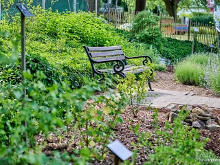 Kräutergarten des Kneipp-Kurpark Bad Camberg