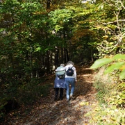 Heilklima-Wandern in Königstein Heilklima-Wandern in Königstein