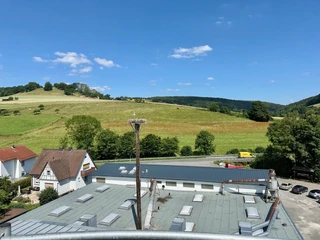 störche_ovenhausen_c_ralflueke (4).jpeg Storchenstange mit Nest und Storch über Dächern