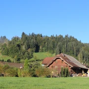 Die Längmatte in Marbach