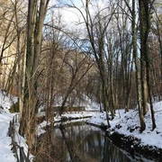 Liebethaler Grund