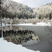 Sankenbachsee im Winter