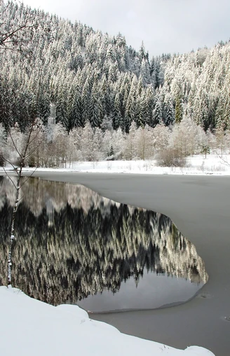 Sankenbachsee im Winter