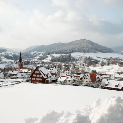 Blick auf Baiersnronn
