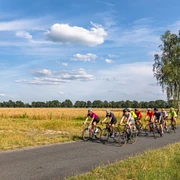 Rennradgruppe unterwegs auf an Kornfeldern liegender Straße Rennradgruppe unterwegs auf an Kornfeldern liegender Straße