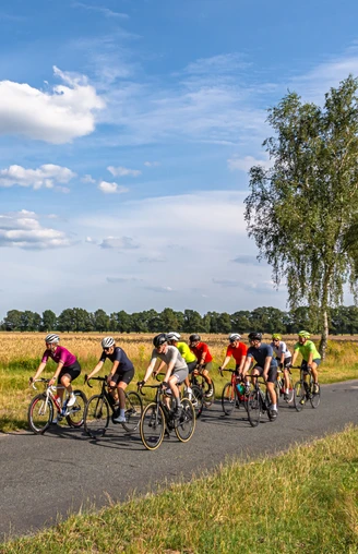 Rennradgruppe unterwegs auf an Kornfeldern liegender Straße Rennradgruppe unterwegs auf an Kornfeldern liegender Straße