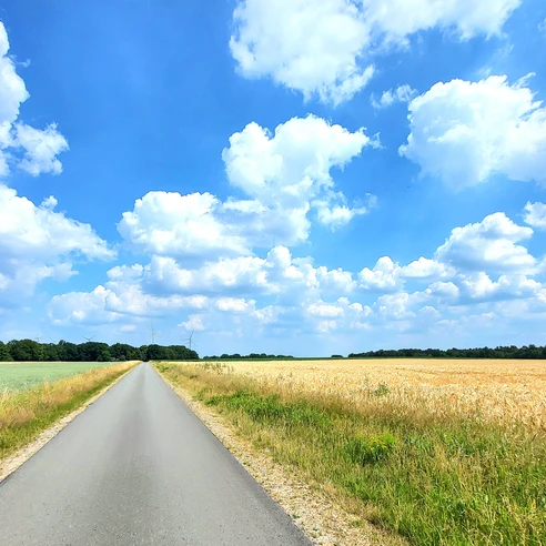 Mitten durch die Felder