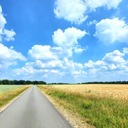 Mitten durch die Felder Mitten durch die Felder