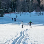 Wintersport in der Stadt Oberharz am Brocken Wintersport in der Stadt Oberharz am Brocken
