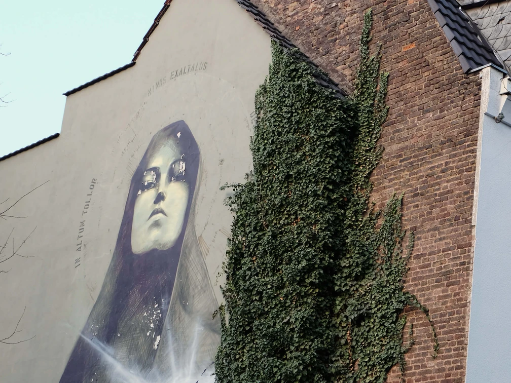 Mural Das Kunstwerk zeigt eine beeindruckende, großflächige Wandmalerei in Köln. Das Bild zeigt eine Madonna mit geschlossenen Augen, goldene Akzente betonen ihr Gesicht. Die Szene wird von üppigem Efeu flankiert, das an der Backsteinmauer hochwächst und einen harmonischen Kontrast zur urbanen Umgebung bildet. The artwork shows an impressive, large-scale mural in Cologne. The picture shows a Madonna with closed eyes, golden accents emphasize her face. The scene is flanked by lush ivy growing up the brick wall, creating a harmonious contrast to the urban surroundings.