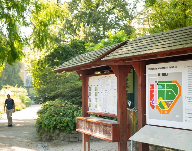 Botanischer Garten Frankfurt