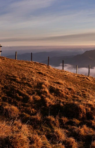 Vom Kulm Gipfel verläuft ein breiter Weg zur Alp Chäserenholz