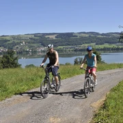 oberhalb vom Baldeggersee