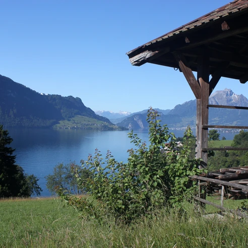 Aussicht auf Pilatus und Vierwaldstättersee