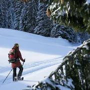 Schneeschuhlaufen in Sörenberg-Flühli