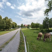 Seetal: Wandertipp Nr.1 Gelfingen - Horben - Baldegg