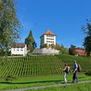 Schloss Heidegg