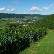 Seetal: Wandertipp Nr.3 Hitzkirch - Horben - Lieli - Hitzkirch