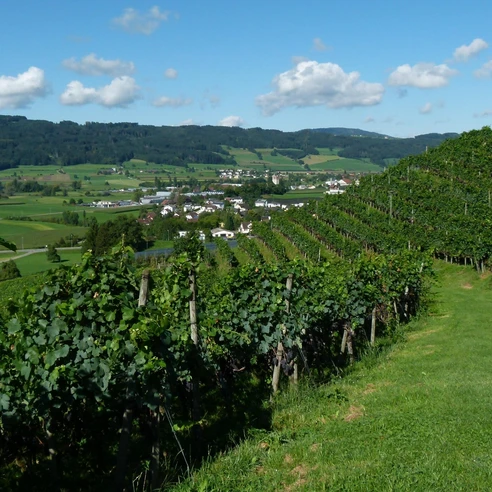 Seetal: Wandertipp Nr.3 Hitzkirch - Horben - Lieli - Hitzkirch