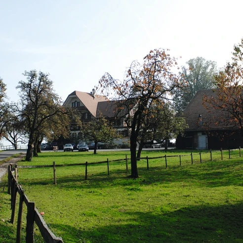 Seetal: Wandertipp Nr. 3 Hitzkirch - Horben - Lieli - Hitzkirch