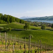 Seetal: Wandertipp Nr.14 Ballwil - Schloss Heidegg - Gelfingen