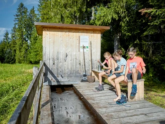 Natur pur und Wellness vom Feinsten beim Moortretbecken